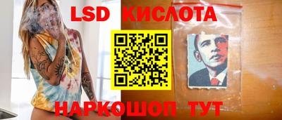 ECSTASY Новодвинск