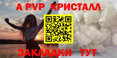 стаф Новокубанск