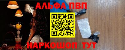 стаф Новокубанск